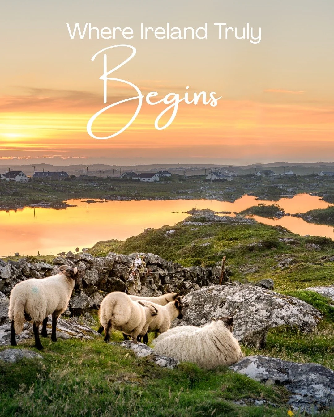 Ireland may look small on a map, but it rewards travelers who plan thoughtfully. Coastal regions, countryside stays, and Northern Ireland each bring a different rhythm and perspective to the experience.⁣
⁣
In the blog, I share how choosing the right 