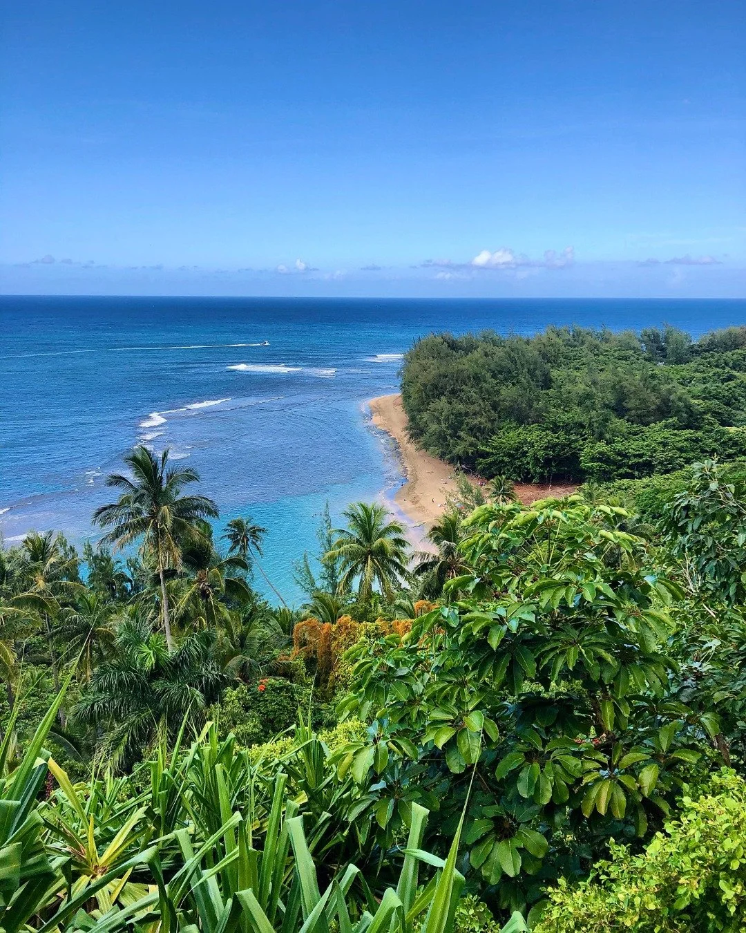 If Hawaii has been &ldquo;someday&rdquo; trip&hellip; consider this your nudge.⁣
⁣
As a travel agent, I see it all the time&mdash;people think Hawaii is just beaches (which, yes&hellip; unreal), but it&rsquo;s so much more. It&rsquo;s sunrise over Ha