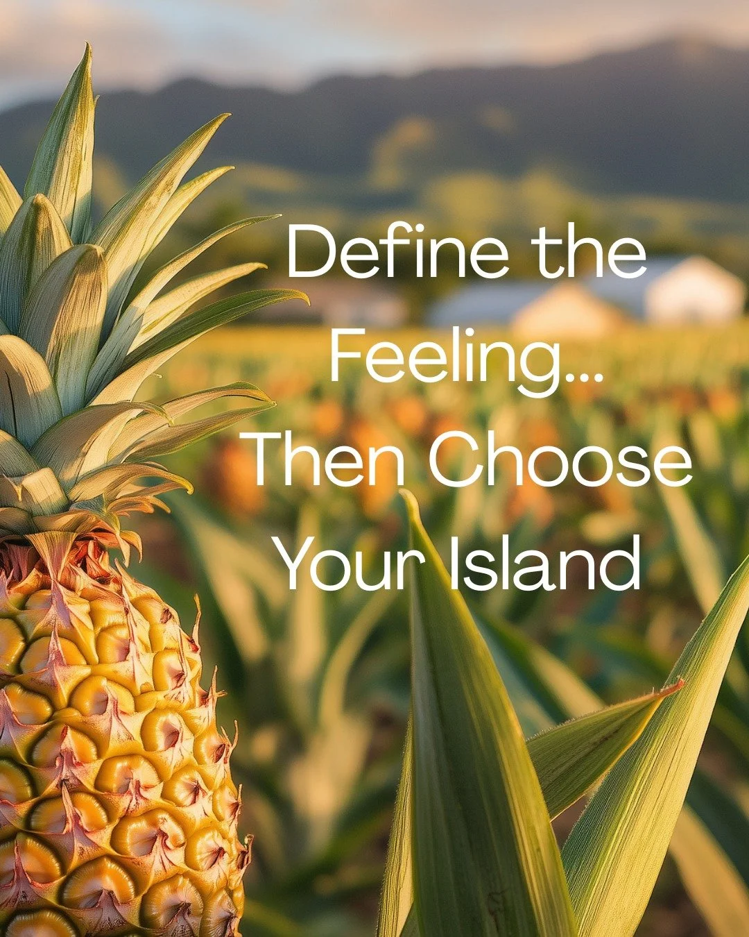 Before choosing Hawaii or Tahiti, it helps to pause and ask a quieter question.⁣
⁣
Do you want movement or stillness? Variety or immersion? Familiar ease or complete removal from everyday life?⁣
⁣
When we begin with how you want the trip to feel, the
