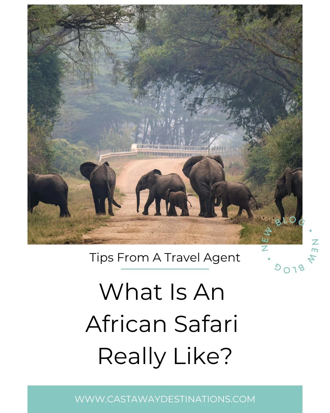 Your Safari Someday⁣
⁣
An African safari is one of those trips that can live on the &ldquo;someday&rdquo; list for years.⁣
⁣
Maybe it feels too far away. Too complicated. Or maybe you just have no idea where you&rsquo;d even begin.⁣
⁣
But imagine wak