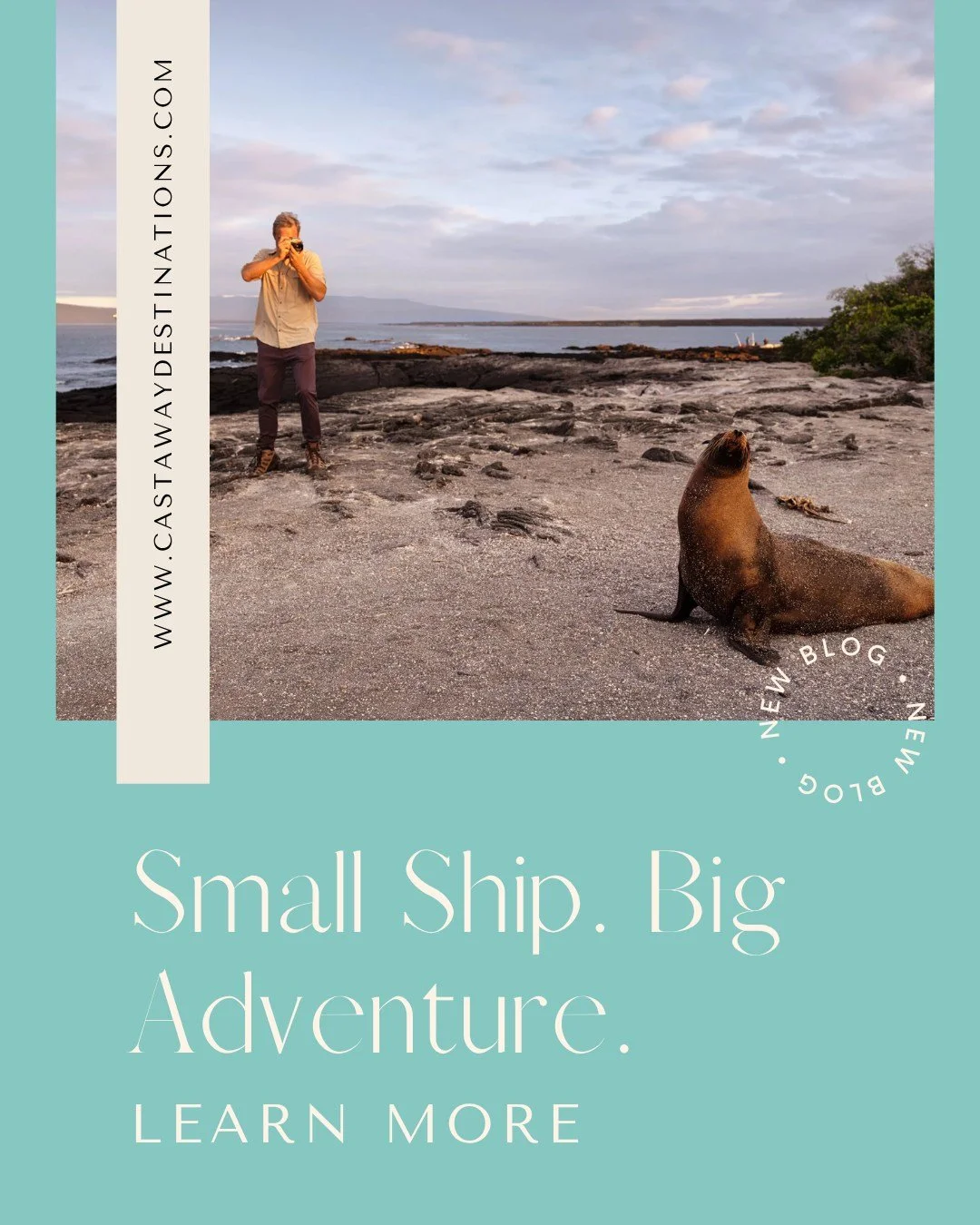 Some destinations are worth traveling a very long way to experience, and the Gal&aacute;pagos is certainly one of them.⁣
⁣
Imagine waking up near a new island, walking among sea lions and marine iguanas in the morning, snorkeling with sea turtles in 