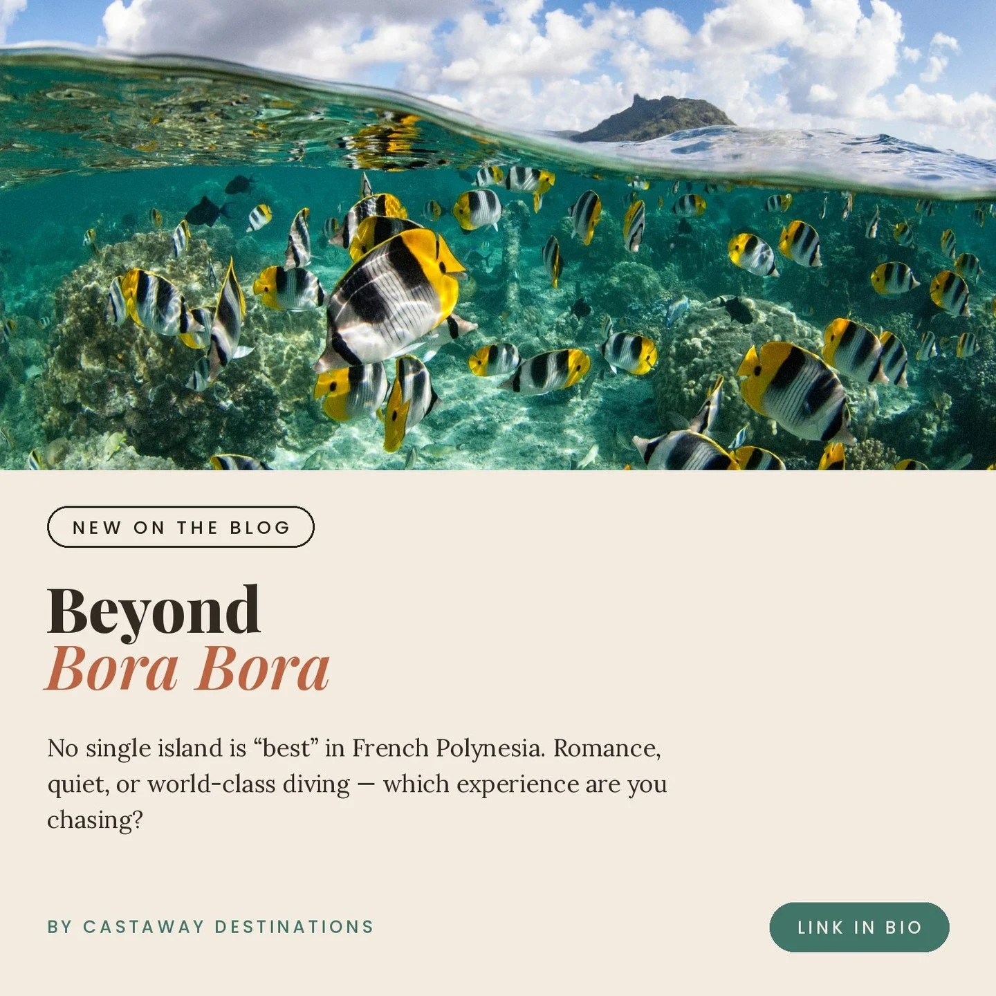 Bora Bora or Moorea? Huahine or Taha&rsquo;a? Maybe the Tuamotus?⁣
⁣
There isn&rsquo;t one &ldquo;best&rdquo; island in French Polynesia. If you want romance and an iconic overwater bungalow, I might point you toward Bora Bora. For something quieter,