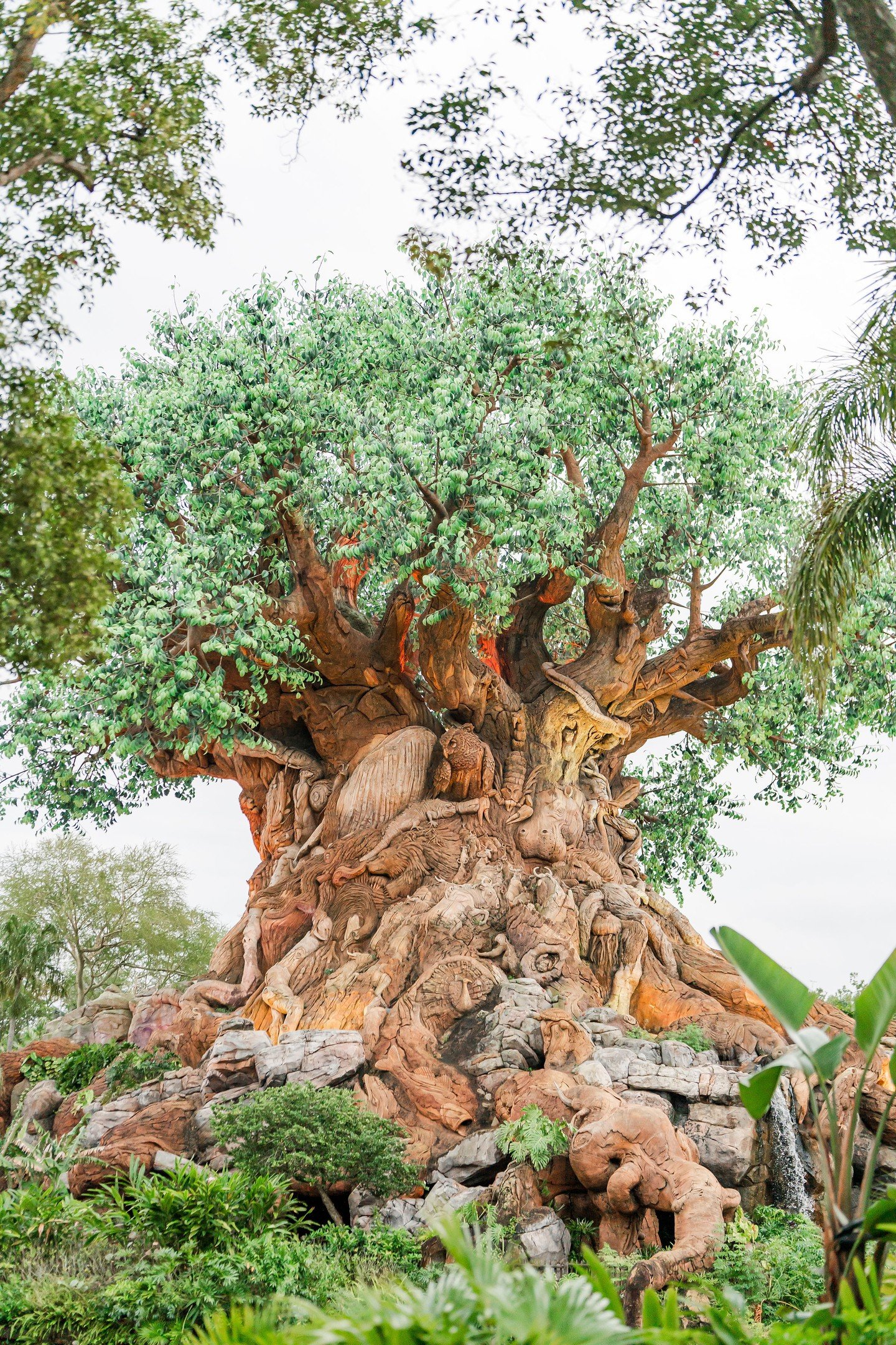 There&rsquo;s so much to explore at Disney&rsquo;s Animal Kingdom! From incredible animals and immersive lands to exciting attractions and unforgettable character moments, it&rsquo;s a park the whole family can enjoy.⁣
⁣
As your travel agent, I can h