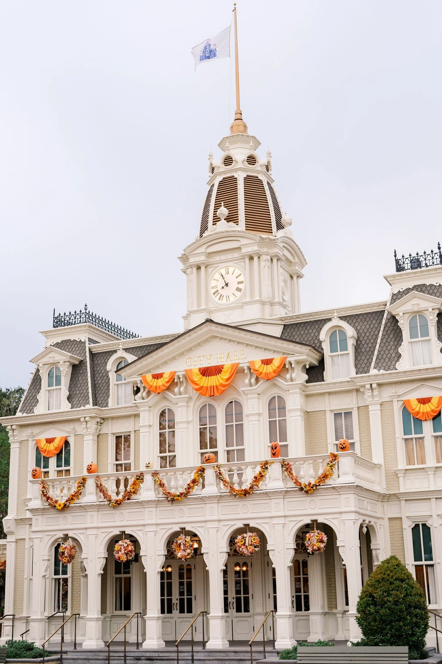 There&rsquo;s nothing quite like a day at Magic Kingdom. From iconic attractions and classic characters to the beautiful lands and unforgettable moments around every corner, it&rsquo;s a park filled with something for everyone.⁣
⁣
From deciding which