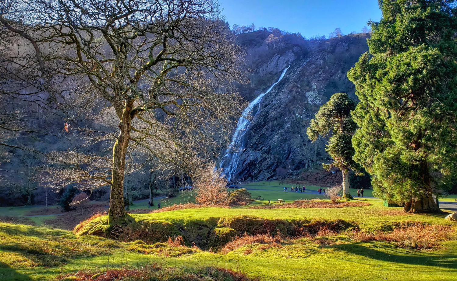 Powerscourt Waterfall cascading down a rocky cliff surrounded by trees in County Wicklow.