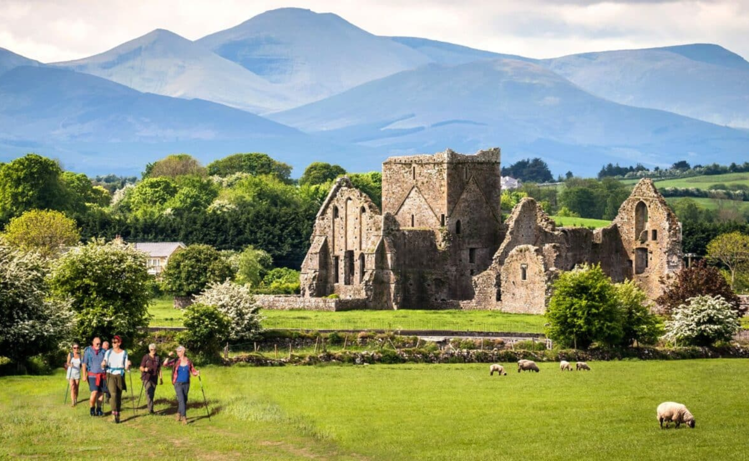 A group of travelers walking past historic castle ruins in the Irish countryside.