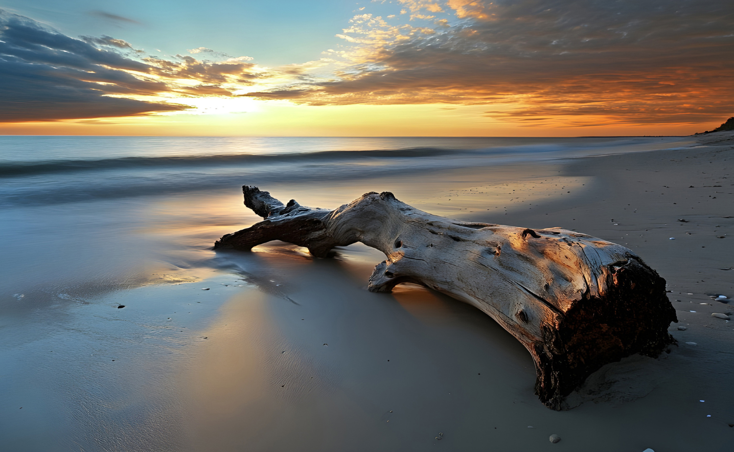 Driftwood resting on smooth sand during a peaceful ocean sunrise with soft waves in the background.