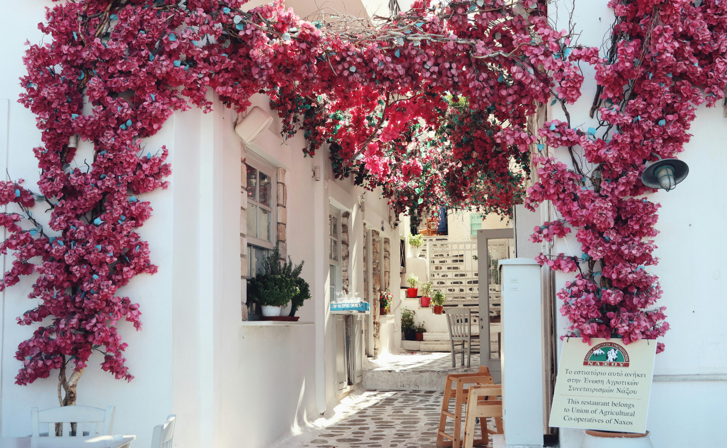 Pink bougainvillea framing a whitewashed village courtyard on Naxos, Greece