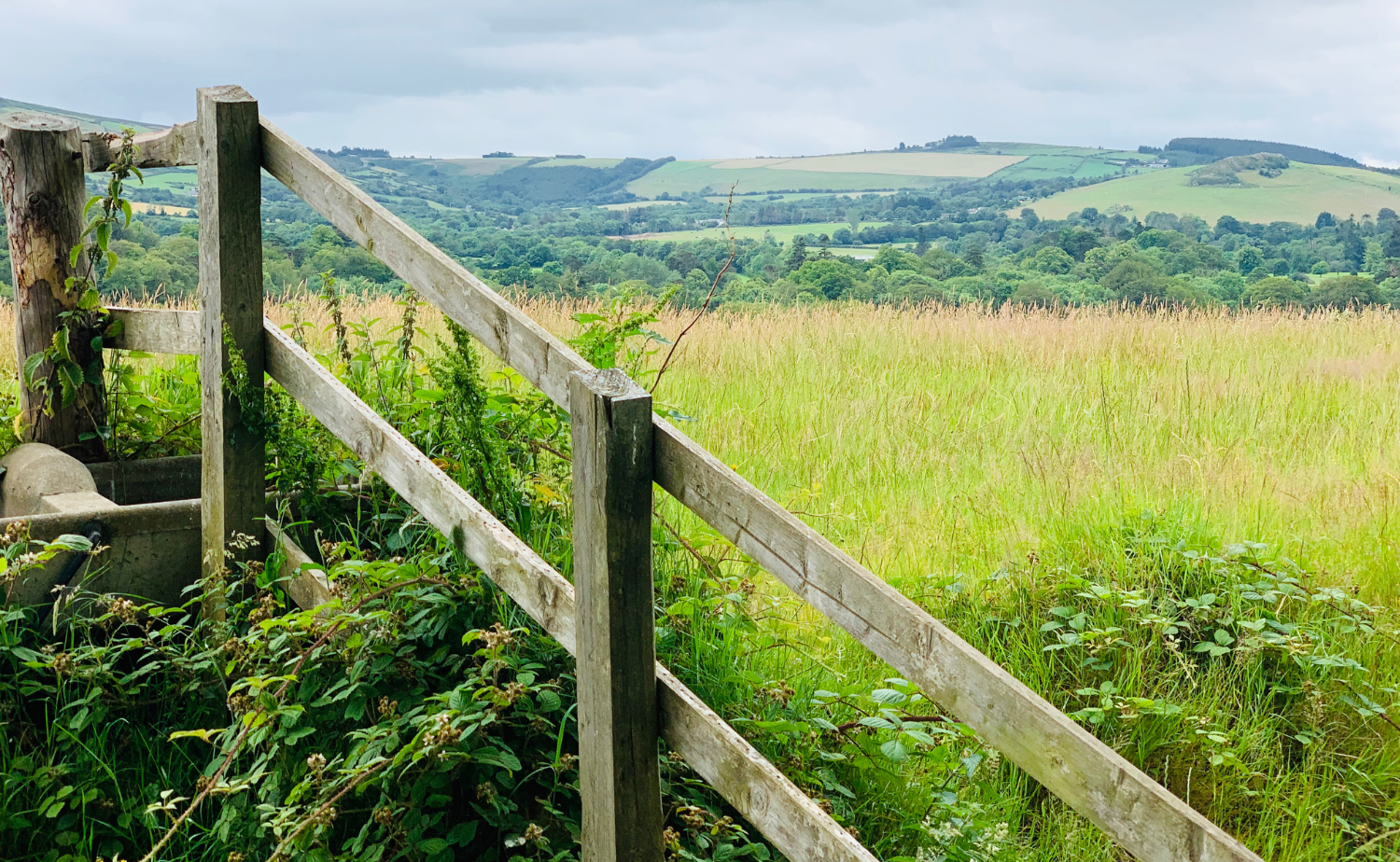 A wooden fence leading into rolling green hills and farmland in the Irish countryside.