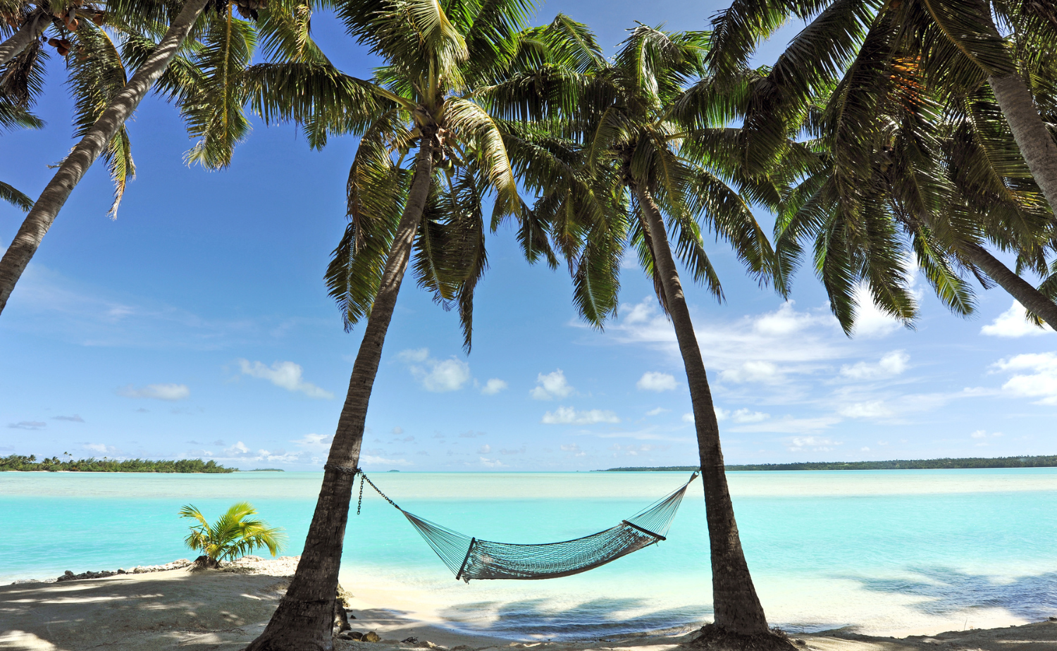 White sand beach lined with palm trees and turquoise water under a bright blue sky.