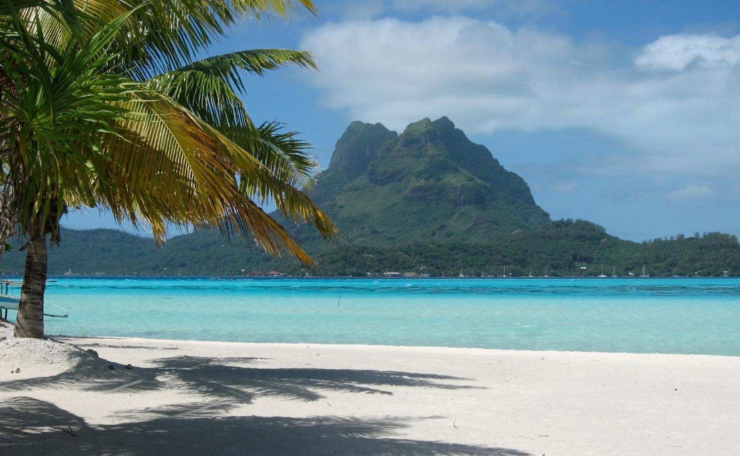 Palm-lined beach overlooking a turquoise lagoon and green mountain in French Polynesia.
