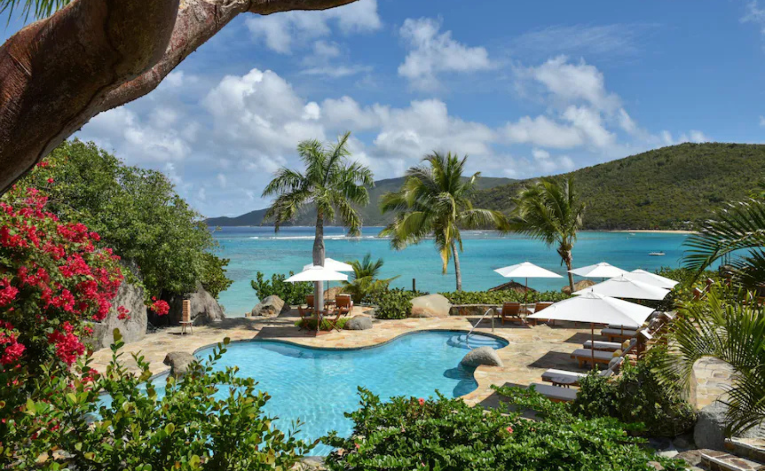 Secluded resort pool surrounded by tropical greenery with views of calm Caribbean waters.