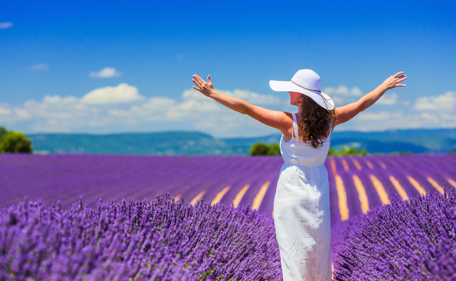 Woman in a white dress and wide-brim hat standing in a lavender field with arms outstretched and a bright blue sky overhead.