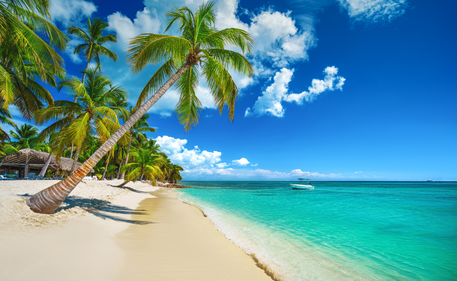 Palm lined white sand beach with crystal clear turquoise water under a bright blue Caribbean sky.