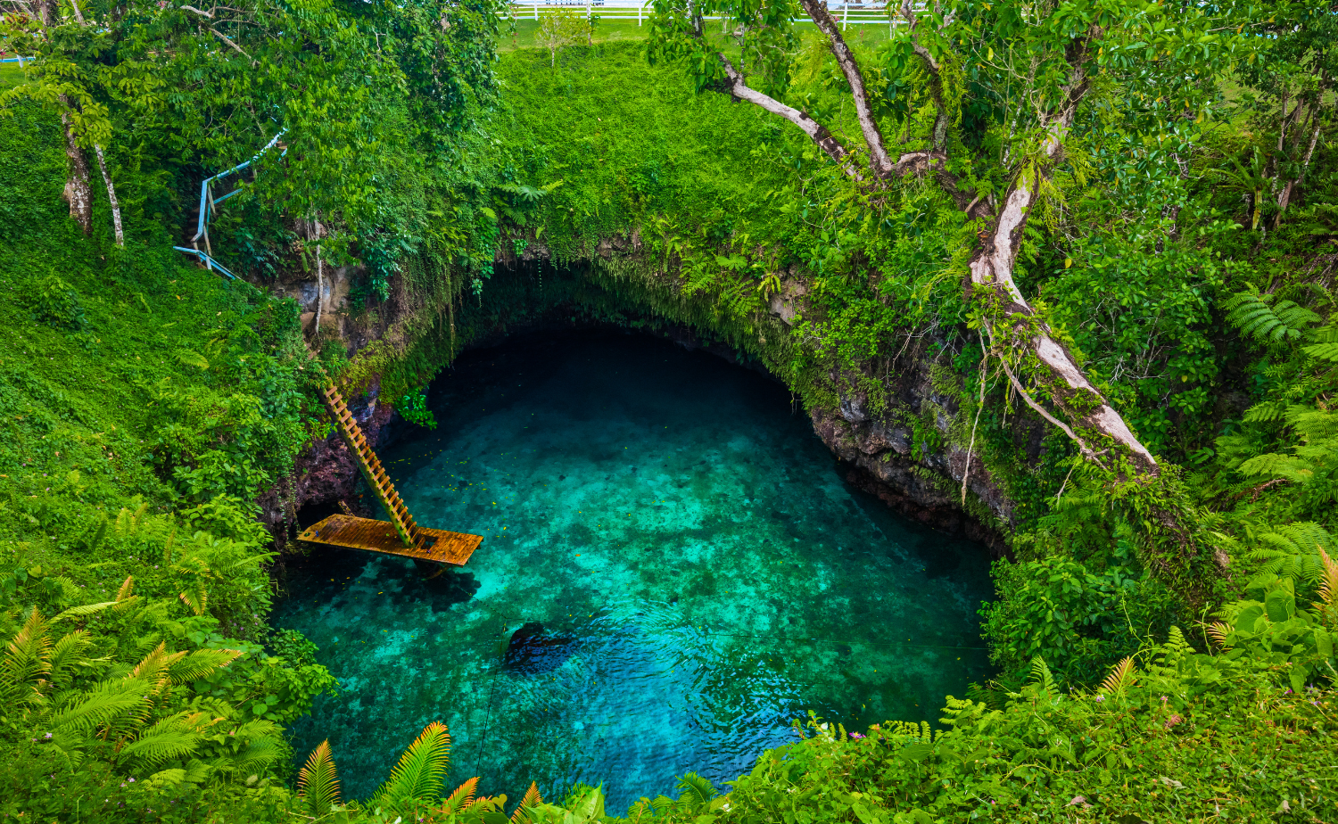 Clear turquoise swimming hole surrounded by lush tropical vegetation in the South Pacific.