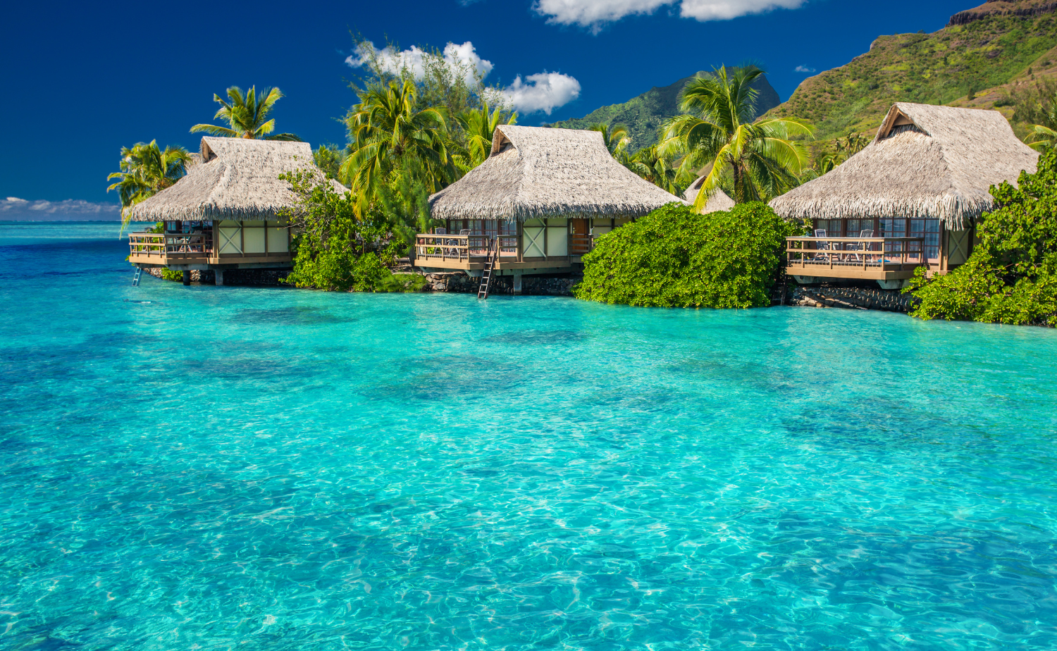 Thatched overwater bungalows surrounded by clear turquoise water and tropical mountains in French Polynesia.