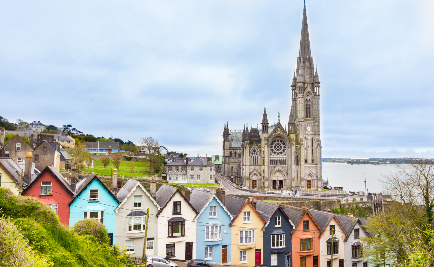 Colorful houses in Cobh overlooking the harbor with a cathedral rising above the town