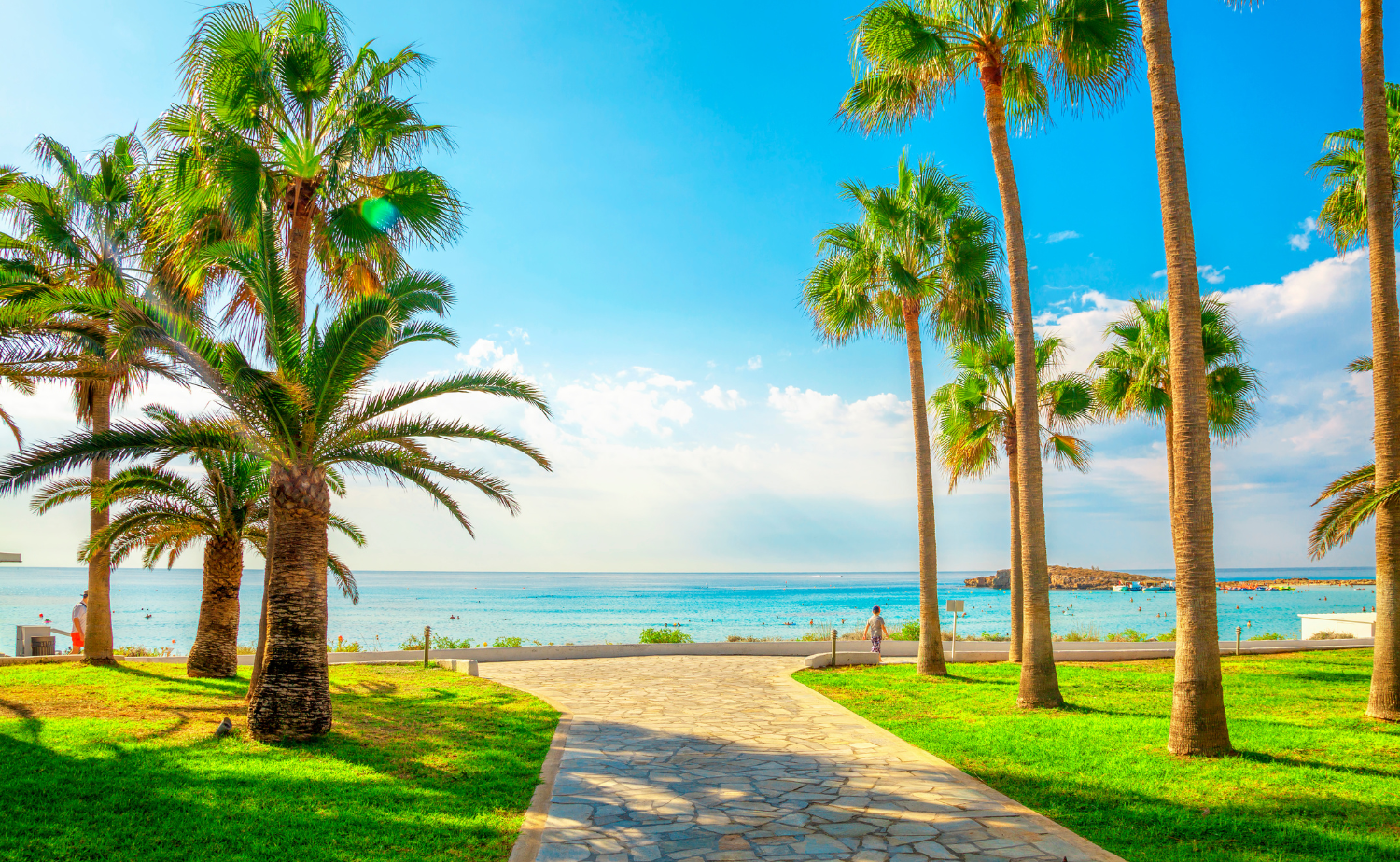 A stone pathway leads through palm trees to the ocean in Turks and Caicos.