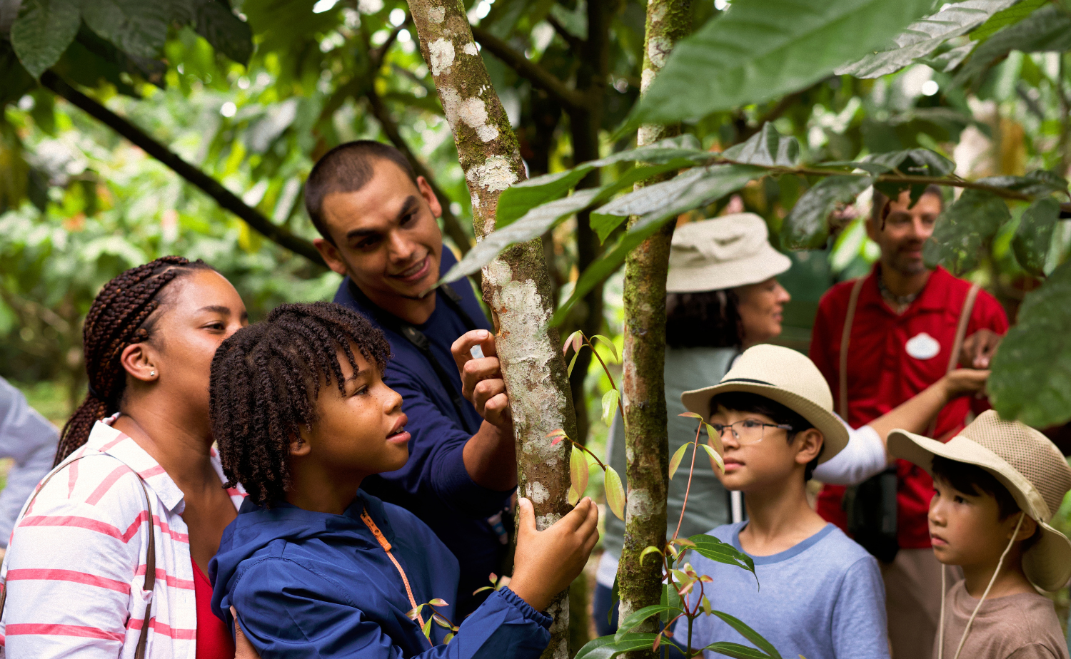 Families participating in a guided rainforest experience on an Adventures by Disney vacation.