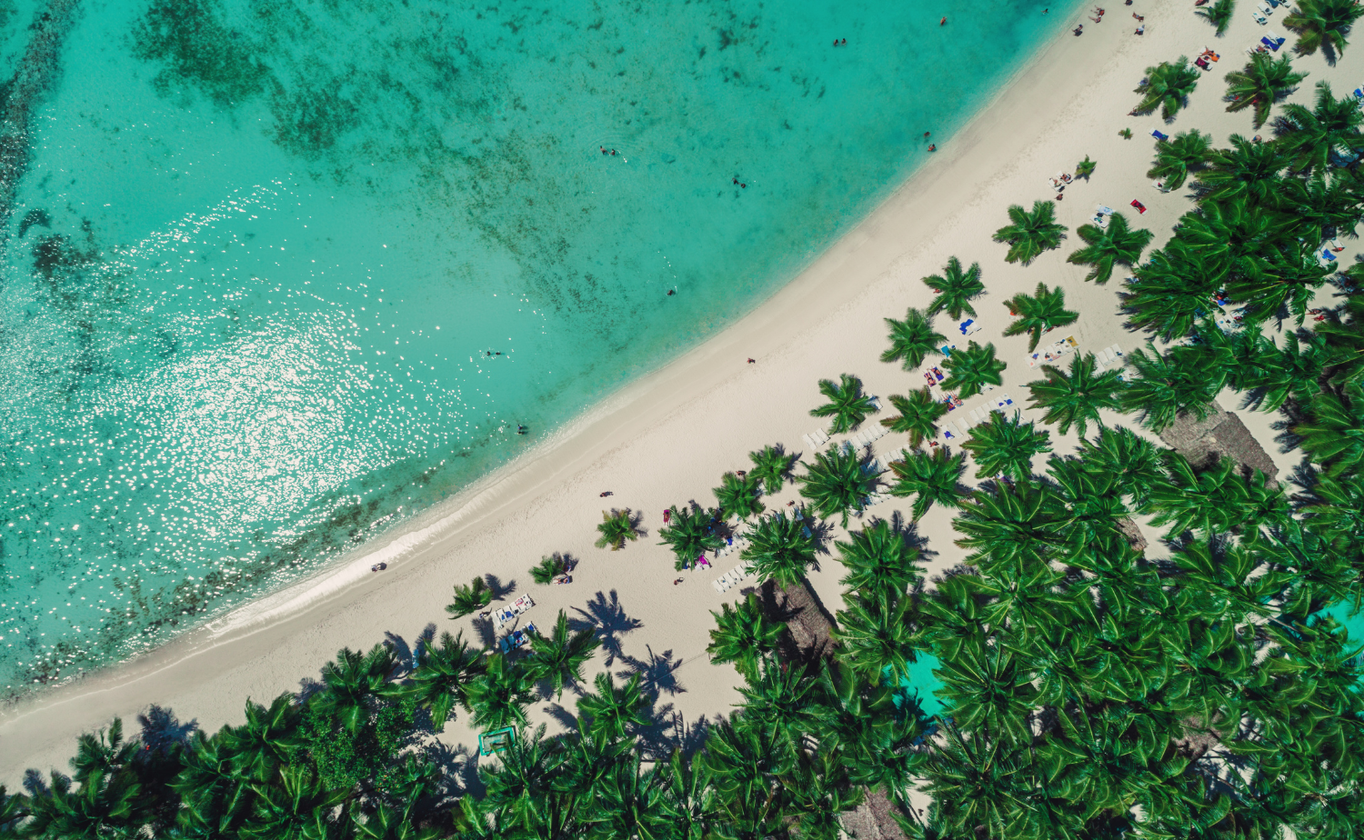 Aerial view of a white sand Caribbean beach lined with palm trees and clear turquoise water.