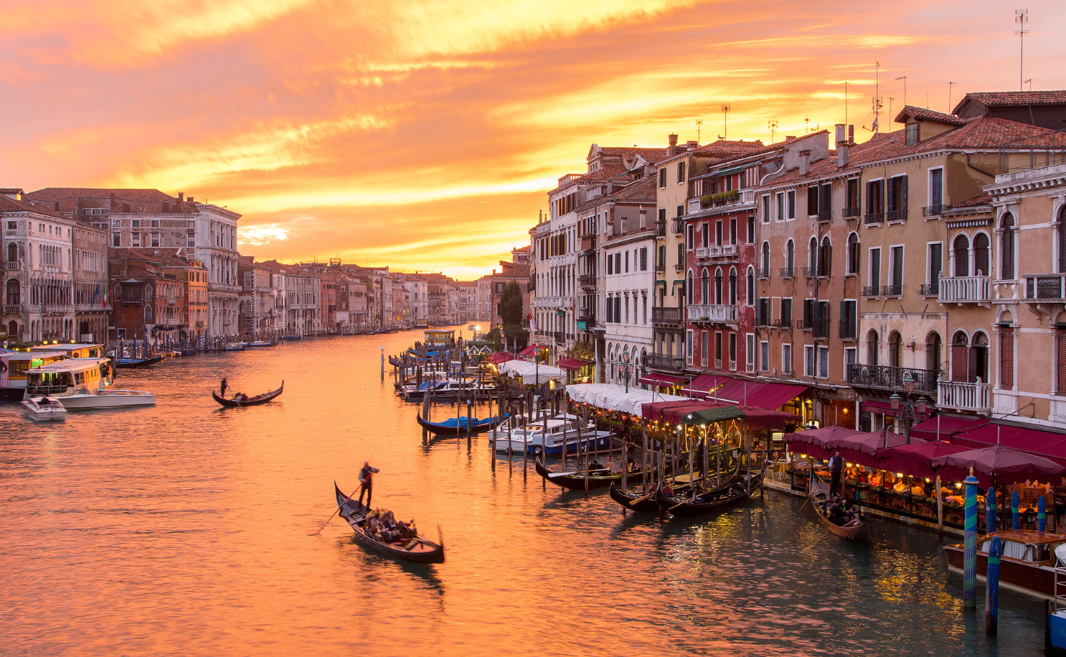 Gondolas glide along Venice’s Grand Canal at sunset, with warm golden light reflecting off historic buildings.