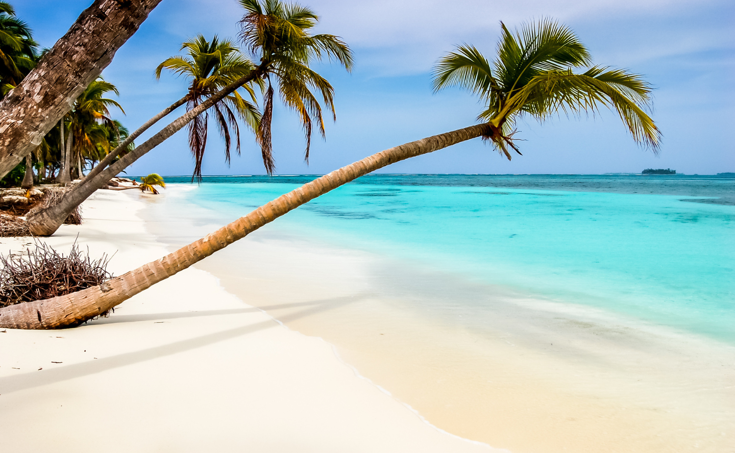 Quiet white sand beach lined with palm trees and turquoise water on a lesser-known Caribbean island.