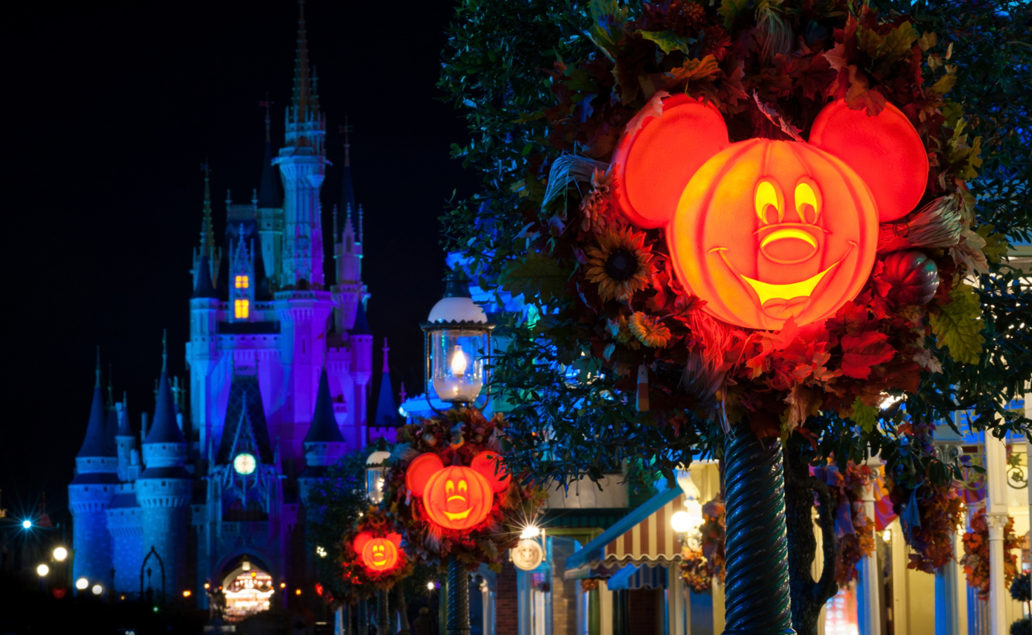 Illuminated Mickey Mouse pumpkin decorations along Main Street, U.S.A., with Cinderella Castle glowing in the background at Magic Kingdom.
