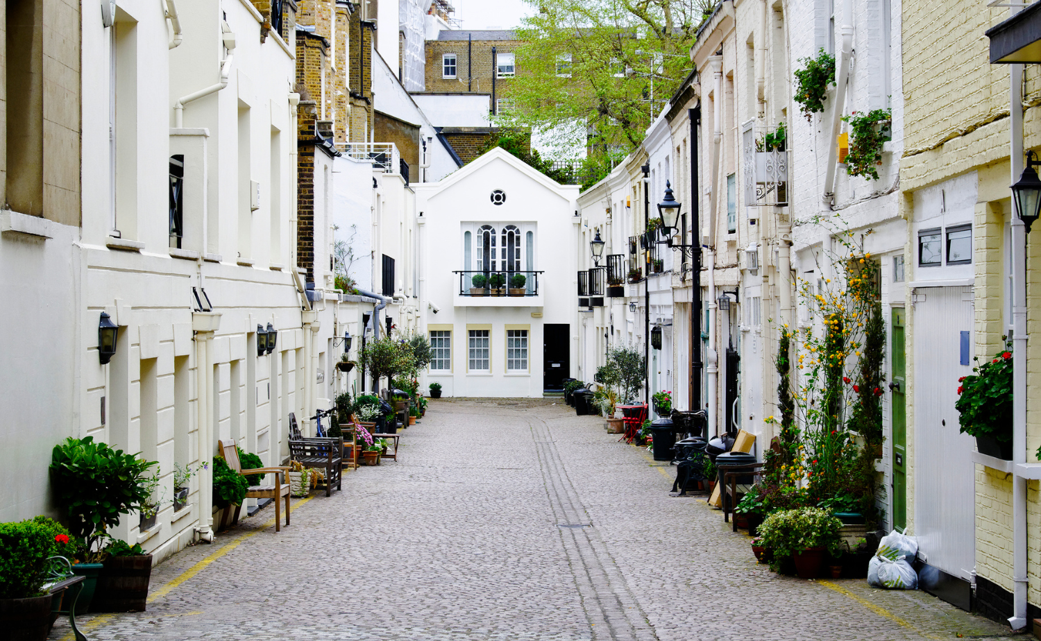 Quiet residential mews street in London with white townhomes and greenery.