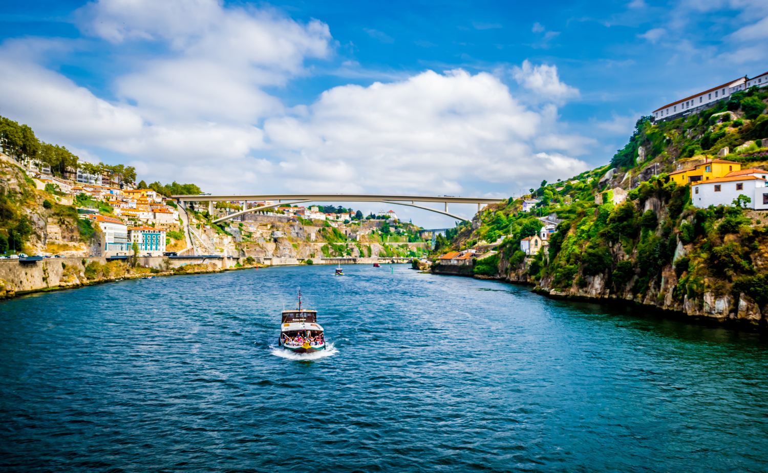 Scenic view of the Douro River winding through Portugal's vineyard-covered hillsides