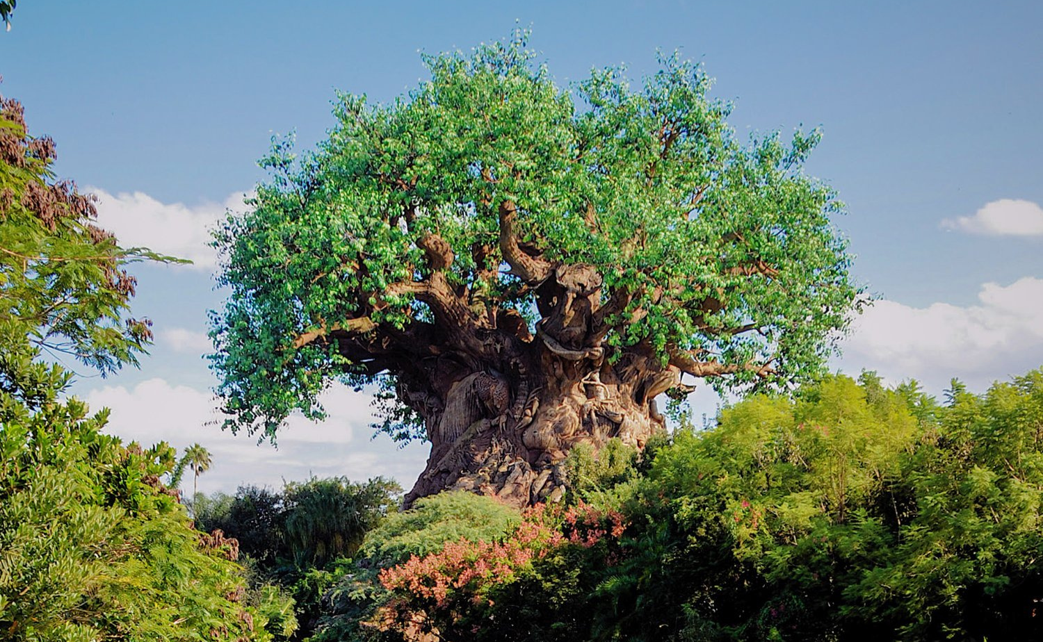 The Tree of Life standing tall and surrounded by lush greenery at Disney's Animal Kingdom.