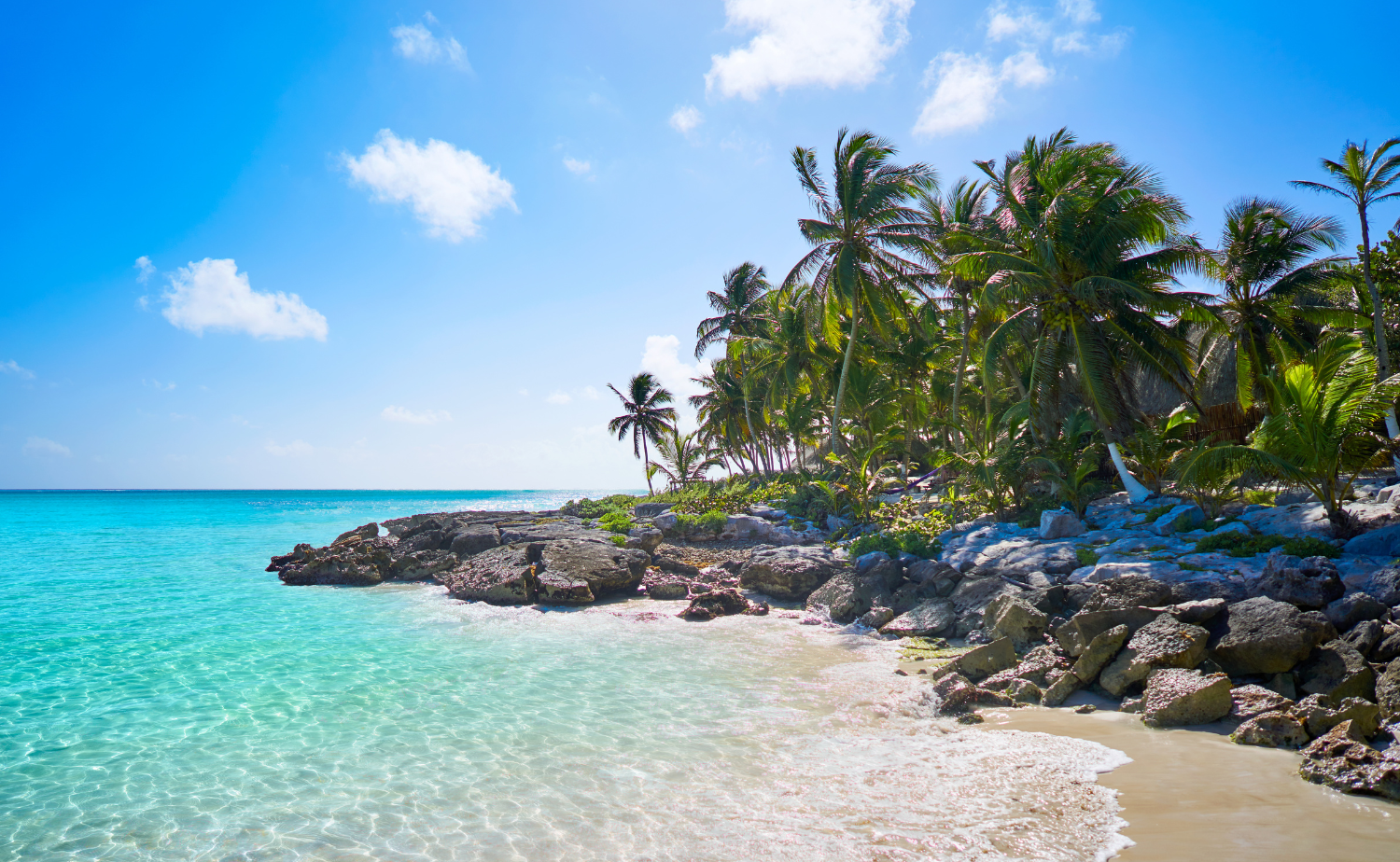 A tropical shoreline in Riviera Maya with palm trees and turquoise water.