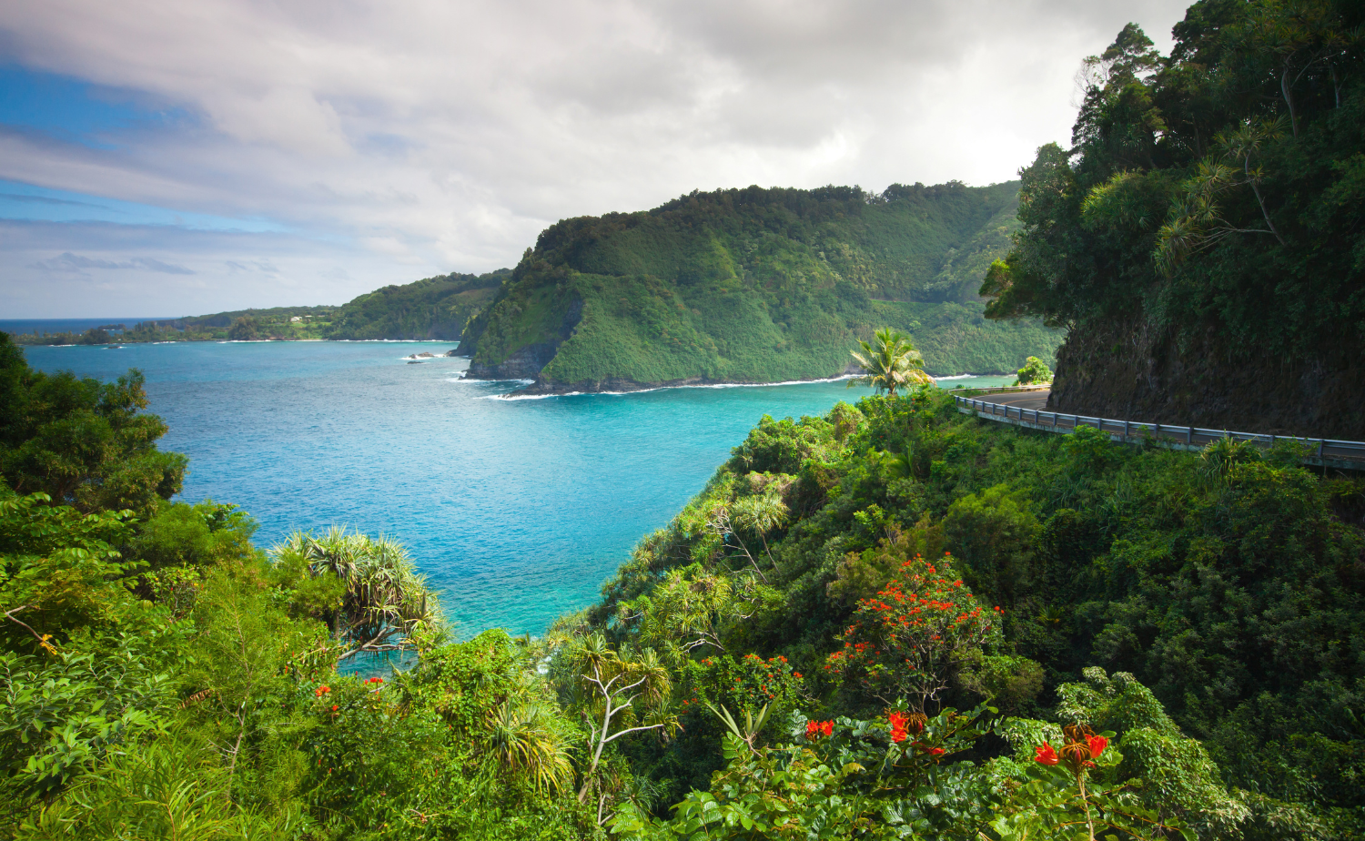 A lush, winding coastal road in Maui overlooking the Pacific Ocean.