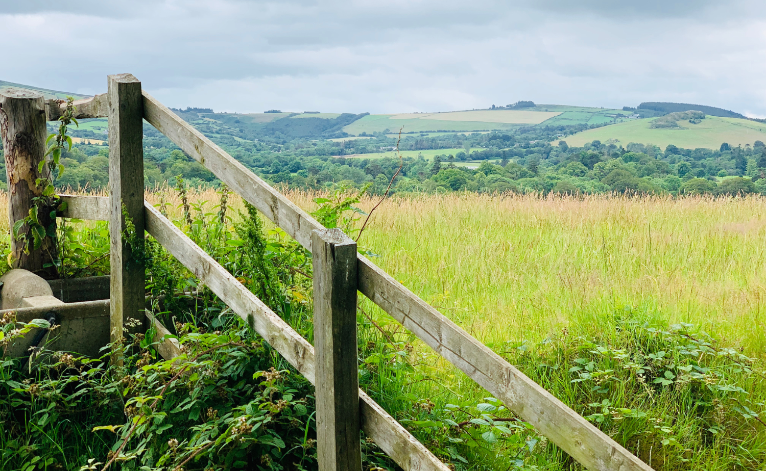 A wooden fence bordering a grassy field with rolling green hills and farmland in the Irish countryside.