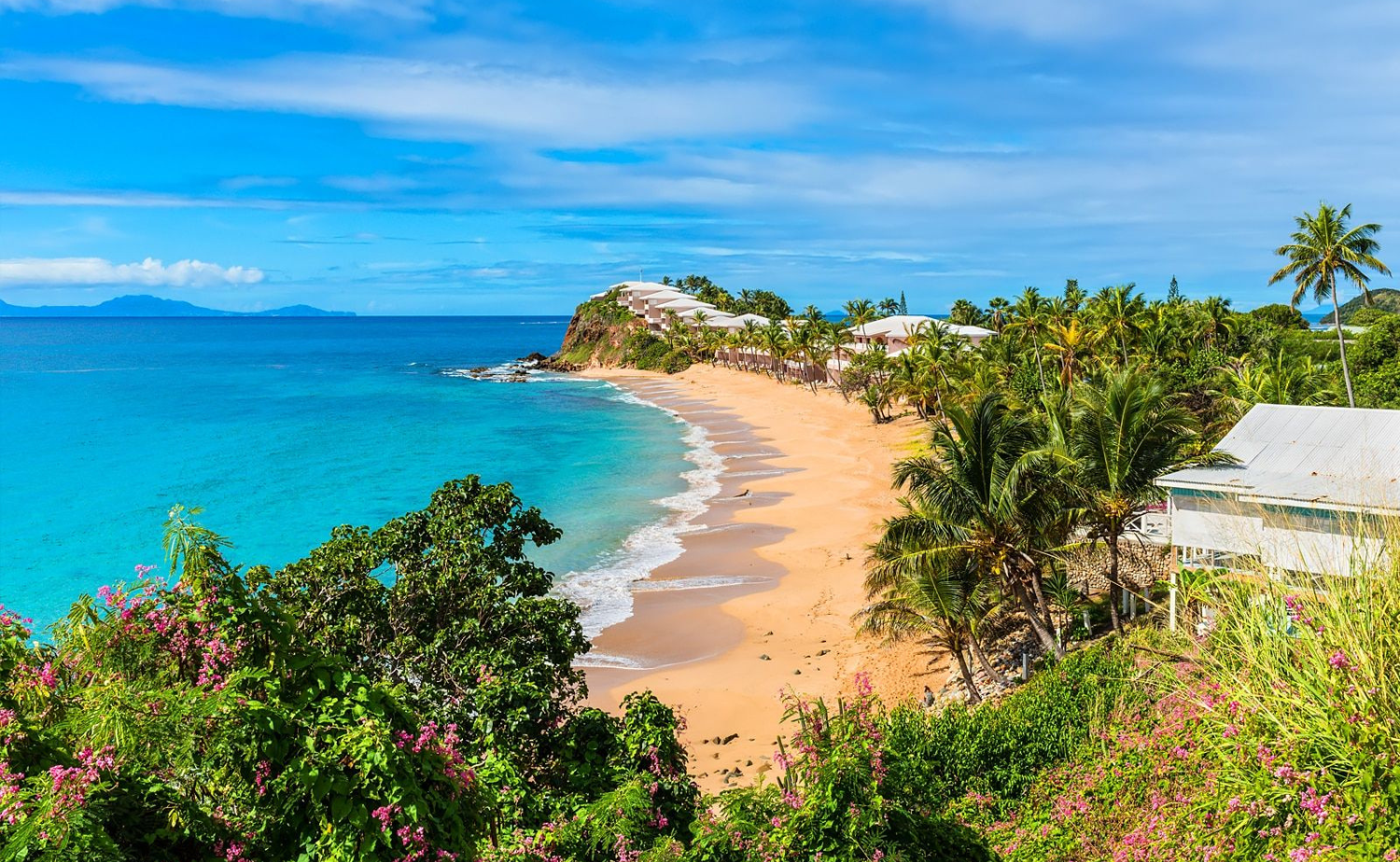 Secluded tropical beach with turquoise water and palm trees on Barbuda in the Caribbean.