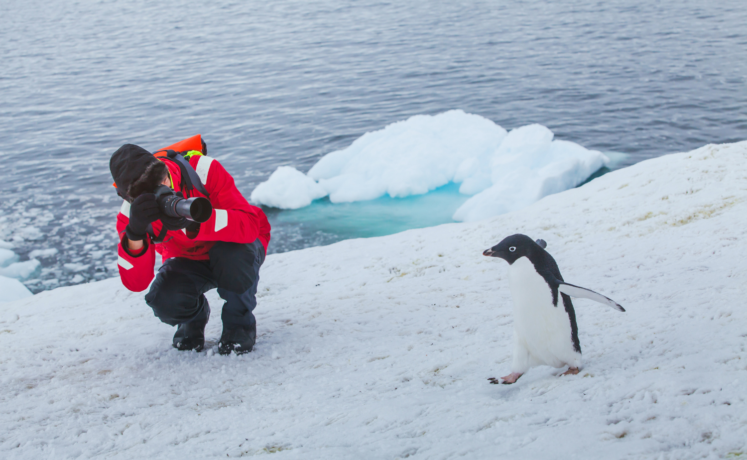 Photographer in a red expedition jacket photographing a penguin on a snowy Antarctic slope