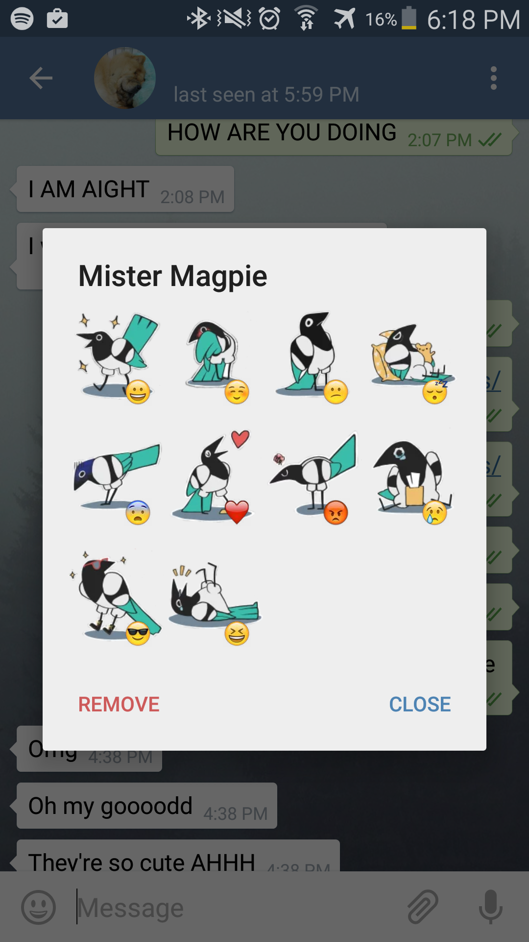 The Mister Magpie sticker set as it looks like when you are prompted to download it.