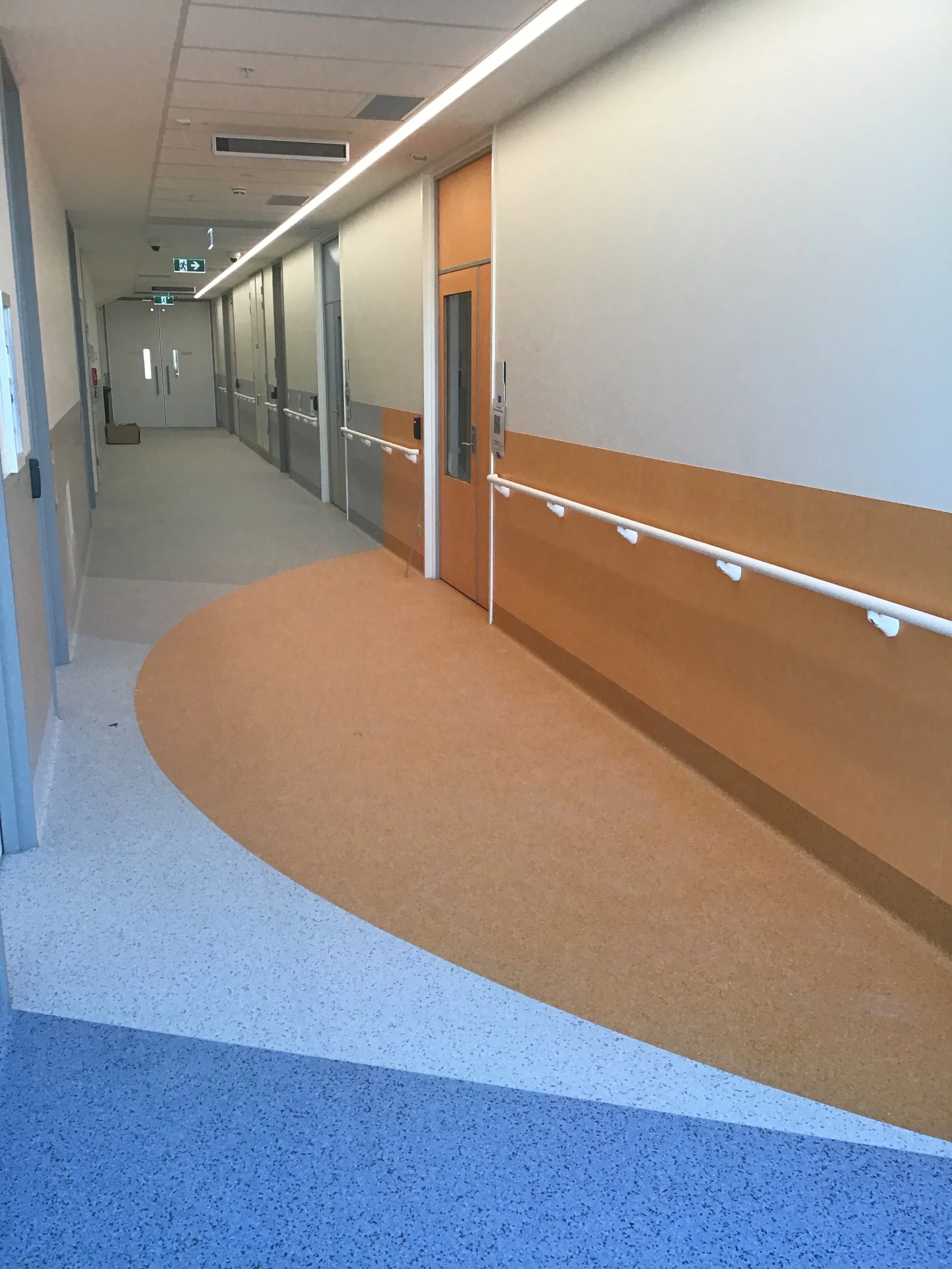 Royal Hobart Hospital