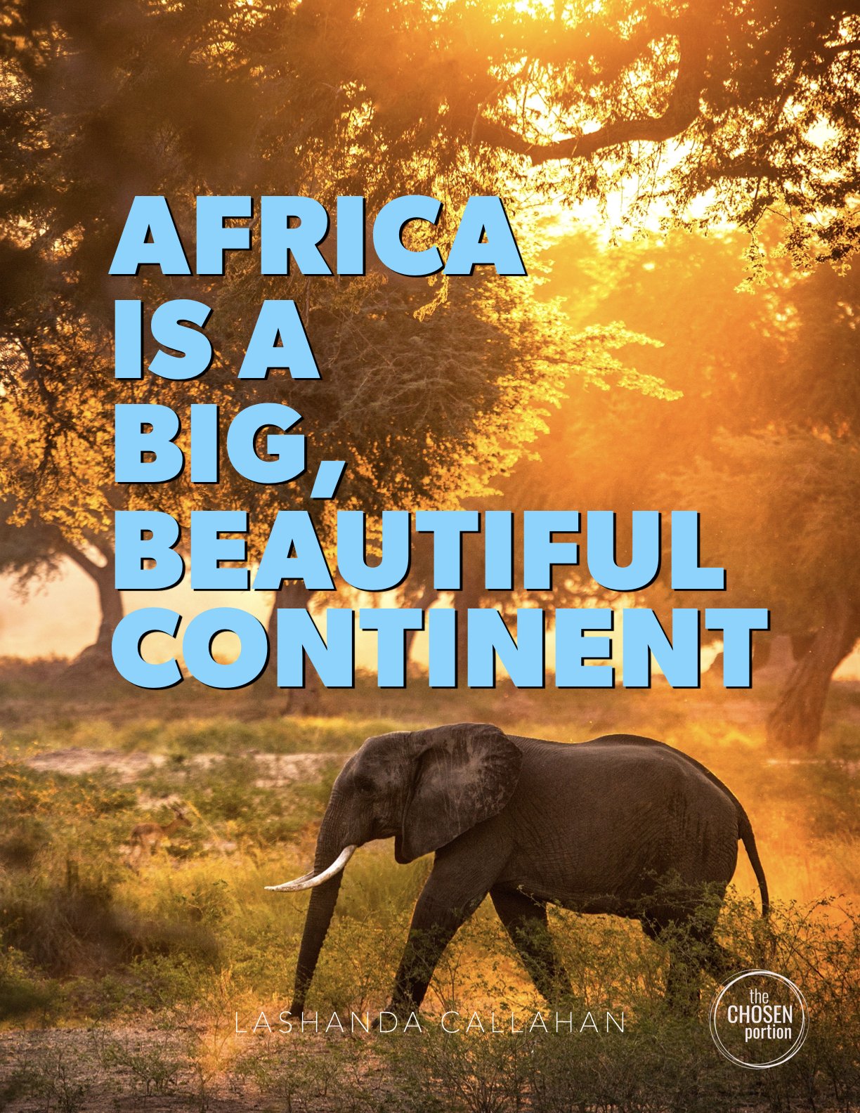 Africa Is a Big Beautiful Continent3.1.jpeg