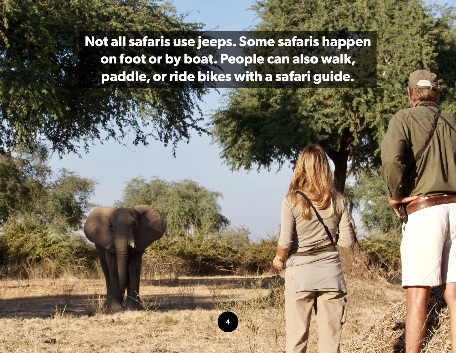 African Safari1.1.jpeg