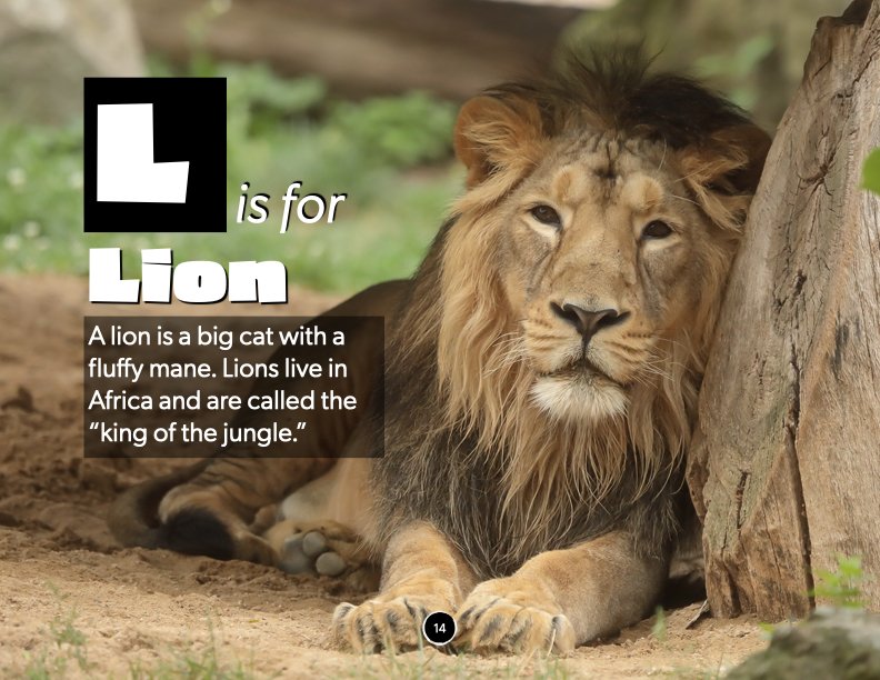 lion.001.jpeg