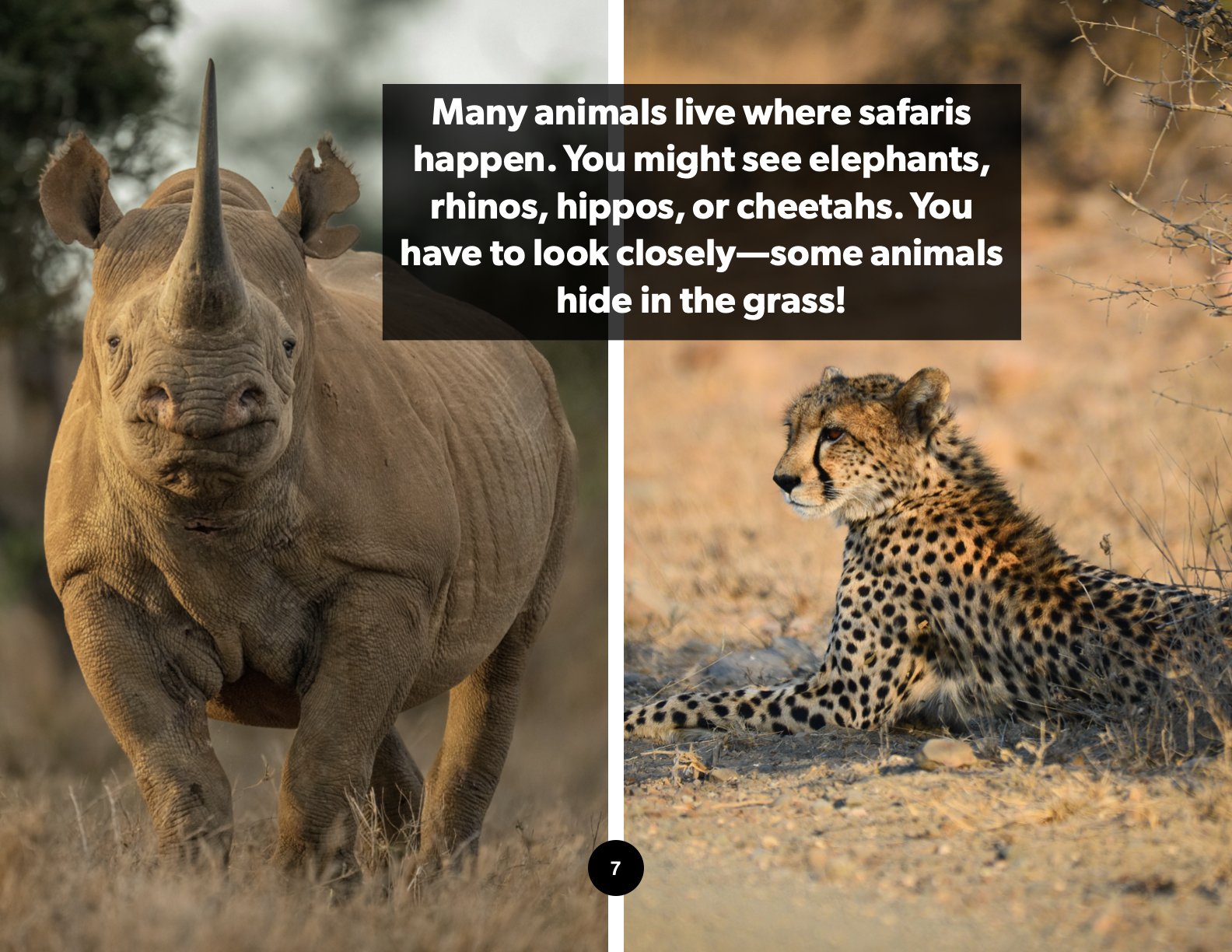 African Safari2.1.jpeg