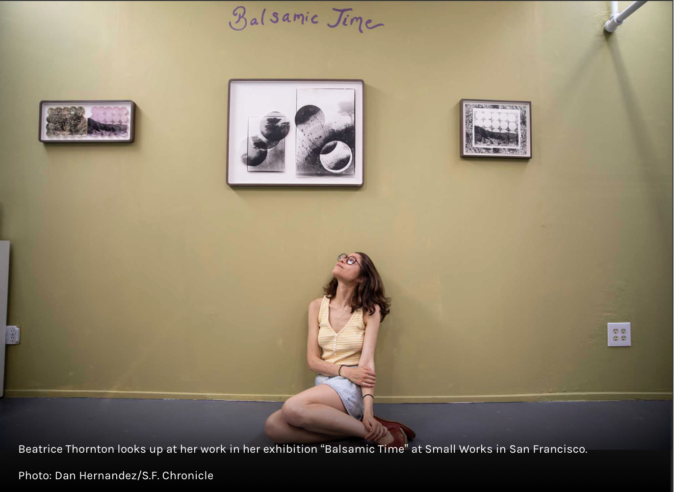 Chronicle Datebook feature from May 2025: How an Oakland photographer ditched film developing chemicals for everyday plants