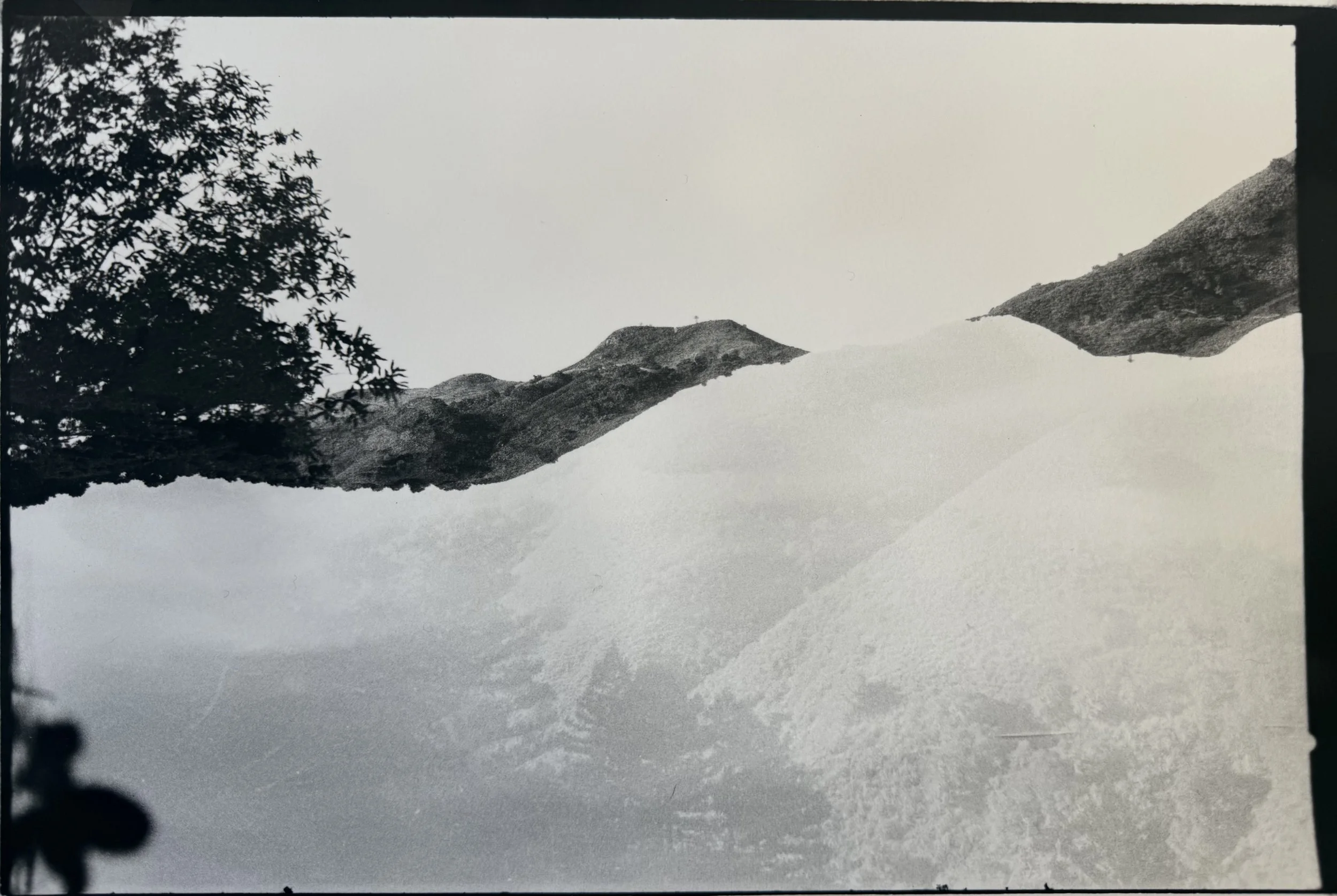 Floating Santa Lucia II, Carmel Valley, 2025 - 11x14 - Plant-developed fiber print