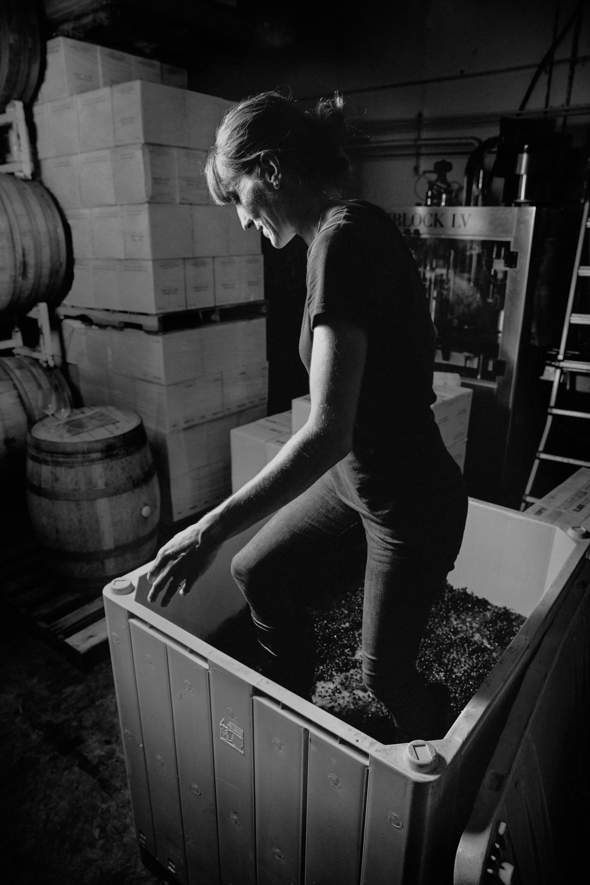  "I was inspired for the name, Ser, after reading an article by Andrew Jeffard, ‘Wine and Astonishment’. It was in that writing that the notion of the 'Being'&nbsp;of wine truly resonated with me:   Being is different than existing.  