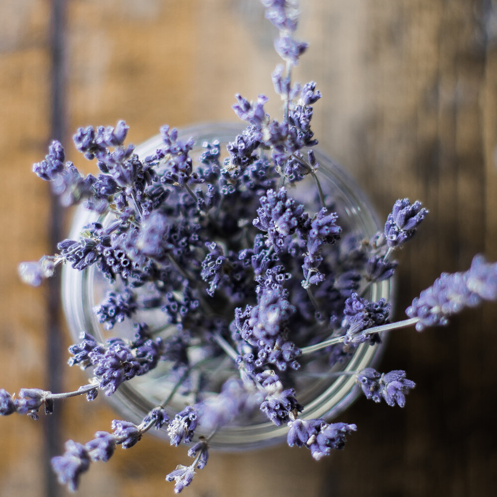Culinary Lavender — Glacier View Lavender