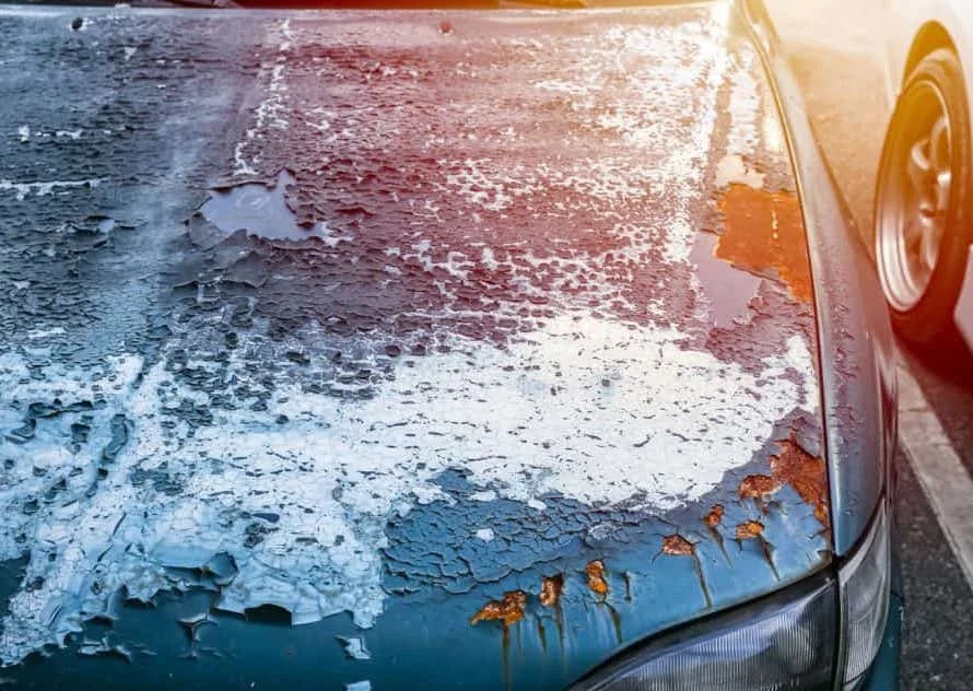 Sun Damage To Paint Is Real - Here's What It Looks Like