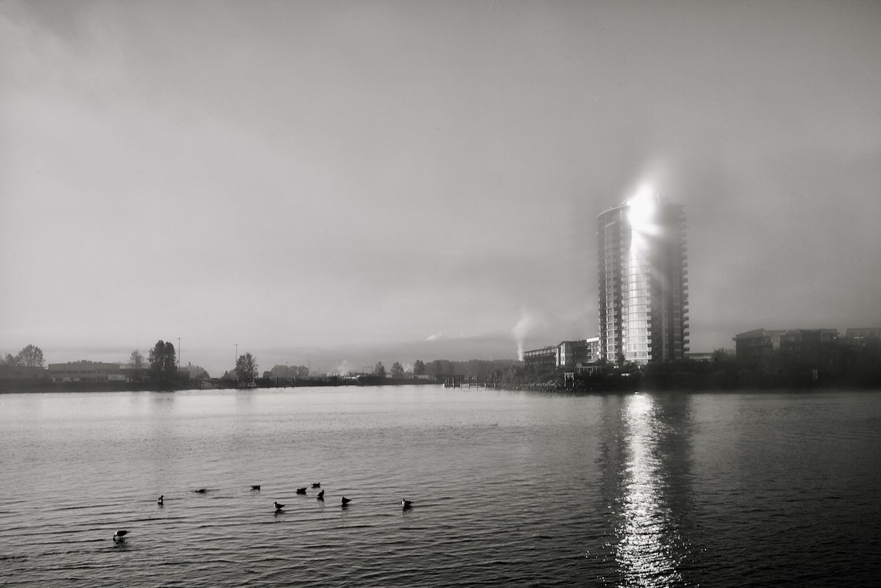 Fog Rise