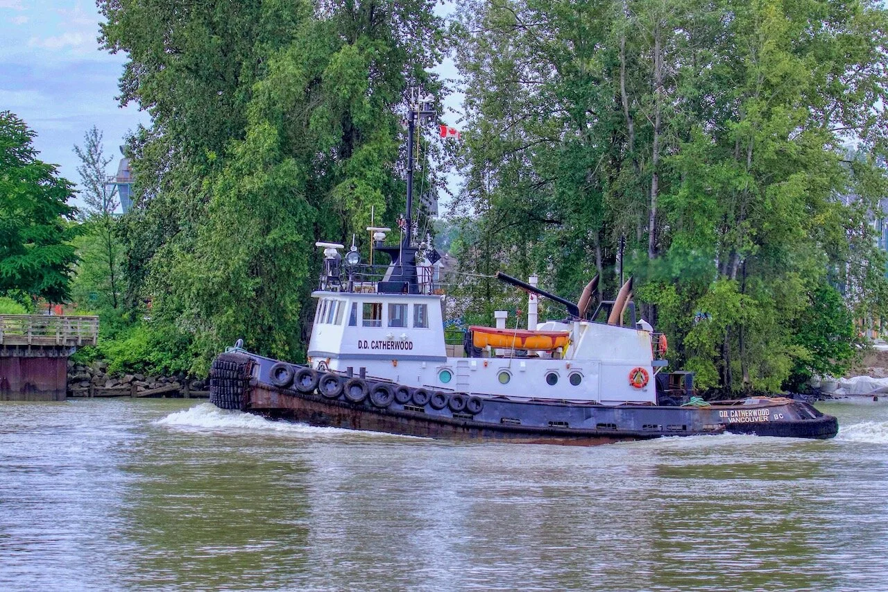 Catherwood Towing Ltd’s tugboat “DD CATHERWOOD” in Fraser RiverClick image for lightbox.