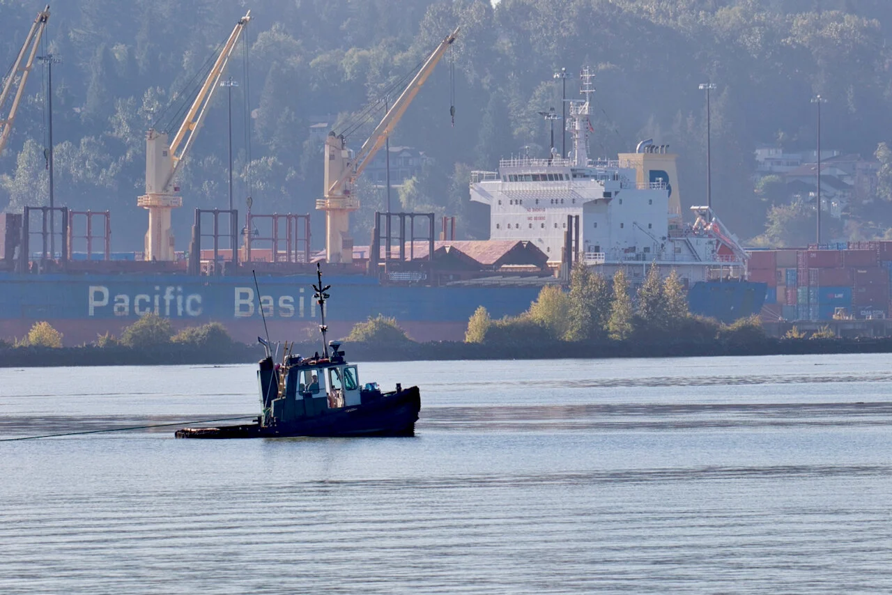 Morning on the Fraser River, B.C.Click image for lightbox.