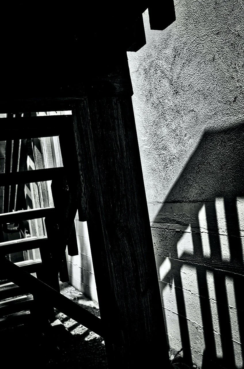 Under the stairs, May 2016Click image for lightbox.